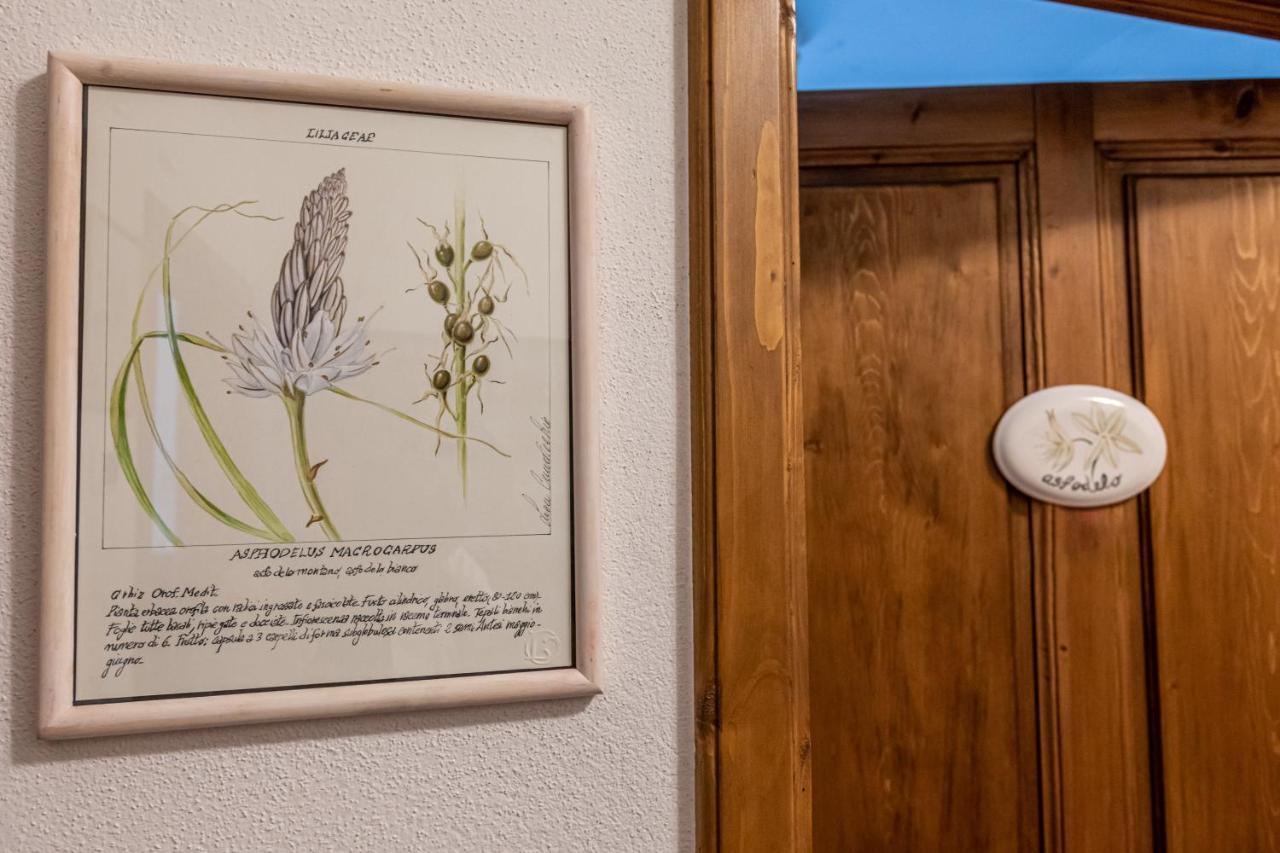 La Locanda Di Adele - Il Giardinetto B&B Scarperia Eksteriør bilde
